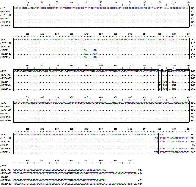 Sequencing of hEPO derivatives.