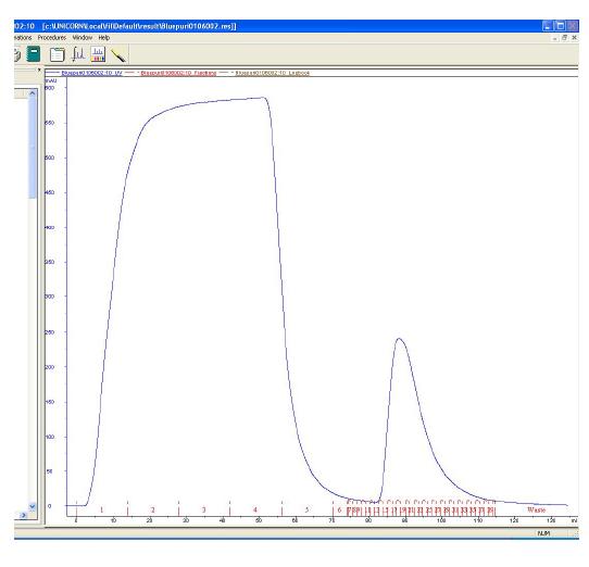 Chromatogram of hEPO purification by blue- sepharose column chromatography.