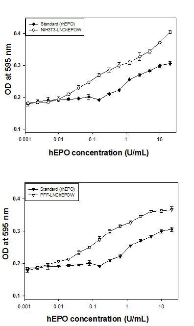 The biological activity of hEPO produced in a LNCEPOW infected target cells or standard rhEPO.