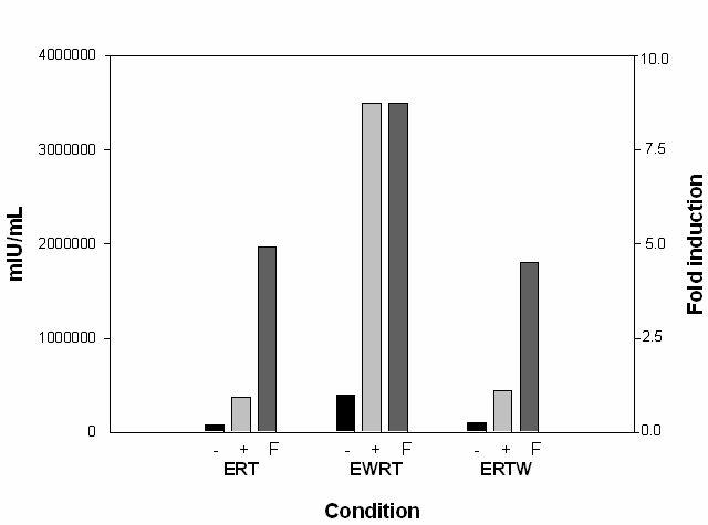 ELISA analysis of hEPO in CEF cells.