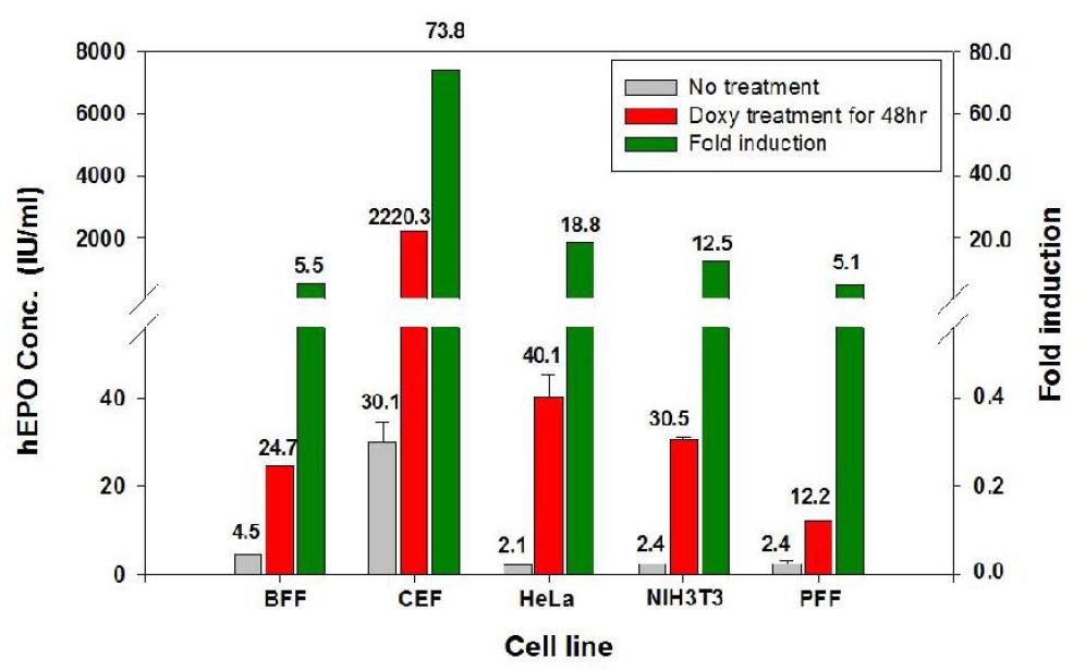 ELISA analysis of hEPO in various target cells infected withTet2-EPO.