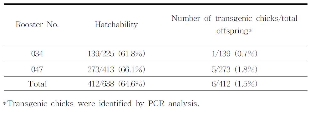 Germline transmission rates from G0 founder roosters