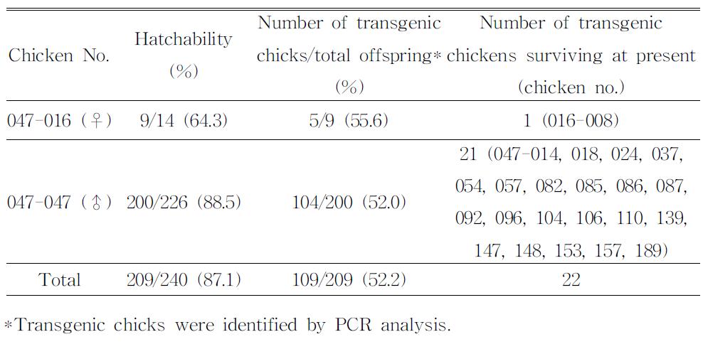 Germline transmission rates from G1transgenic chickens