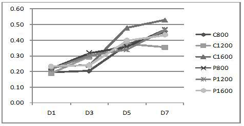 Copra 박과 palm 박의 수준별 급여가 육성–비육돈의 TBARS analysis에 미치는 영향