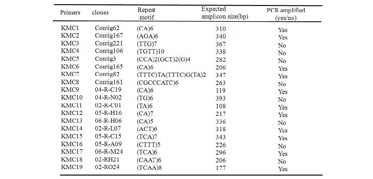 Microsatellite 분석에 사용된 EST clones, repeat motif, PCR 예상 크기 및 증폭결과