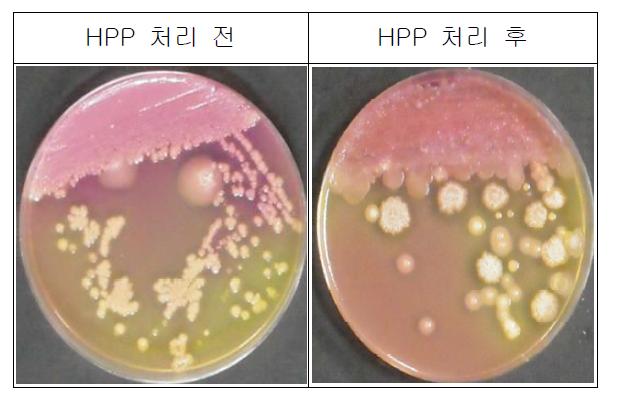 HPP 처리에 따른 황색포도상구균(Staphylococcusaureus) 변화