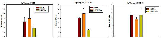 ThenumberofCOE-specificIgA-secretingcelsinspleen