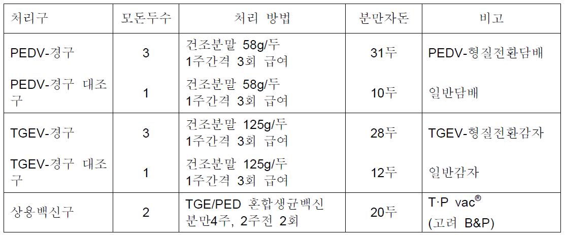 형질전환식물체 경구백신 시험모돈 처리구 배치 및 분만 결과