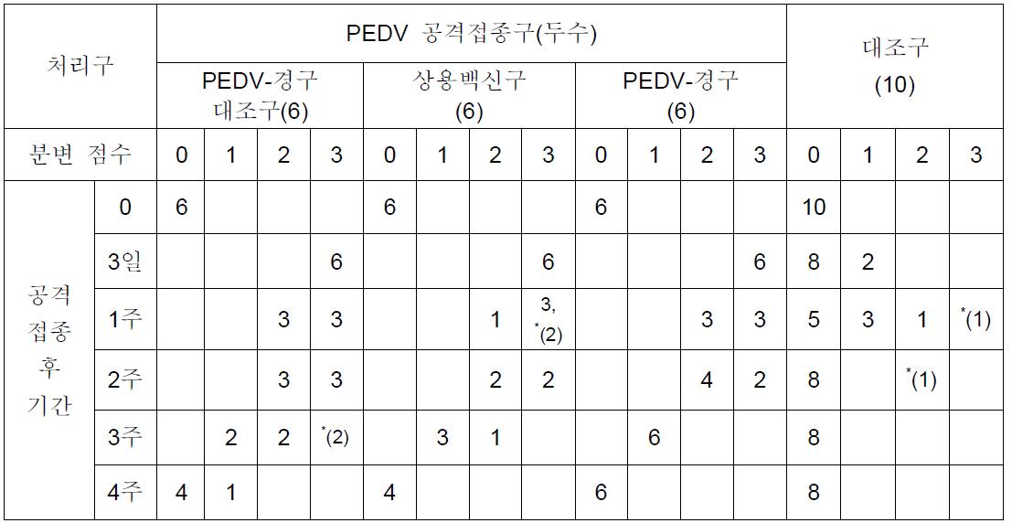 PED바이러스 공격접종 및 미접종 자돈의 설사증상 변화