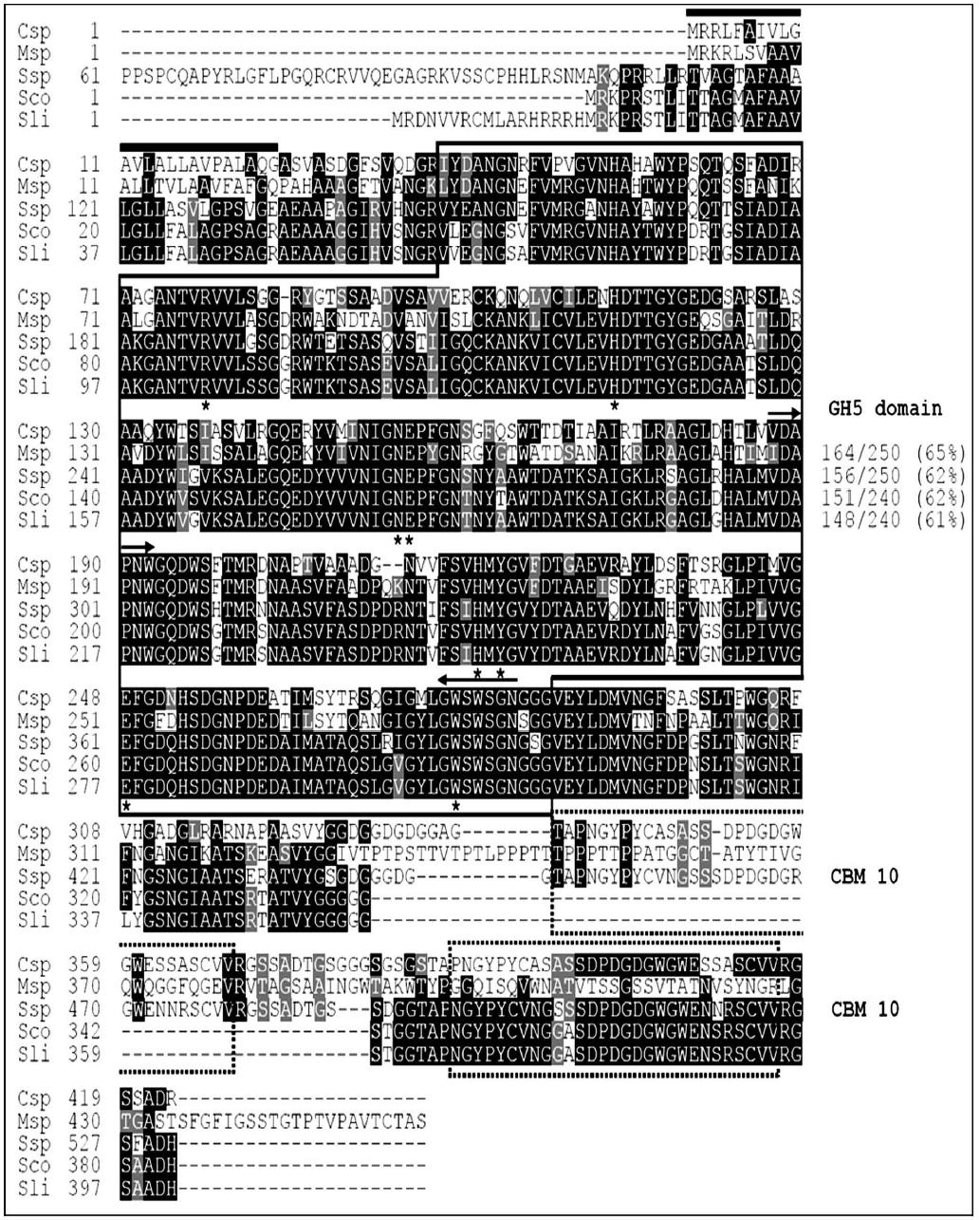 elulosimicrobiumsp.HY-13균주 유래의 mannanasedomain분석