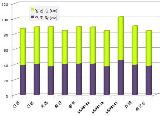 시험 1.월동전 1차 수확 품종별 엽초장 및 엽신장 비교