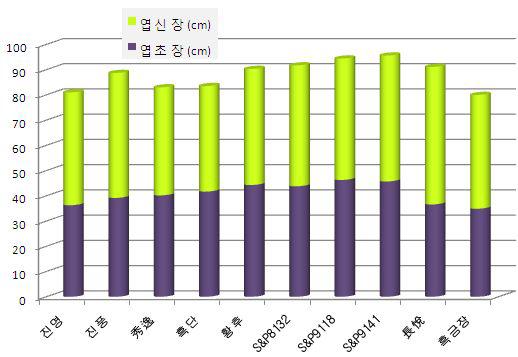 시험 2.월동 후 2차 수확 품종별 엽초장 및 엽신장 비교