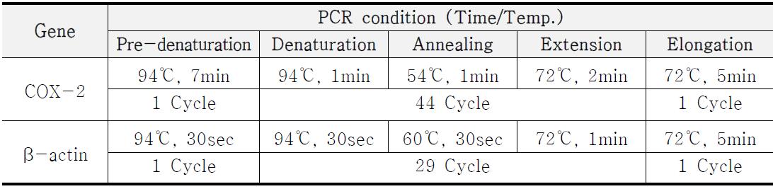 COX-2와 β-actin의 PCR 실행 조건