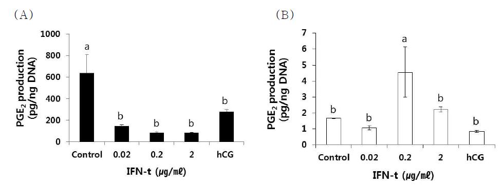 소 자궁내막세포에 IFN-τ의 농도 별 처리에 따른 PGE2의 분비 양상