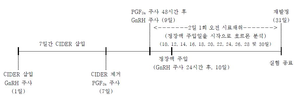 정장액의 처리 후 혈중 호르몬 분석을 위한 실험일정표