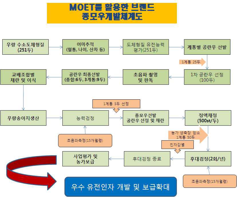 MOET를 활용한 횡성한우 브랜드 종모우의 개발체계도