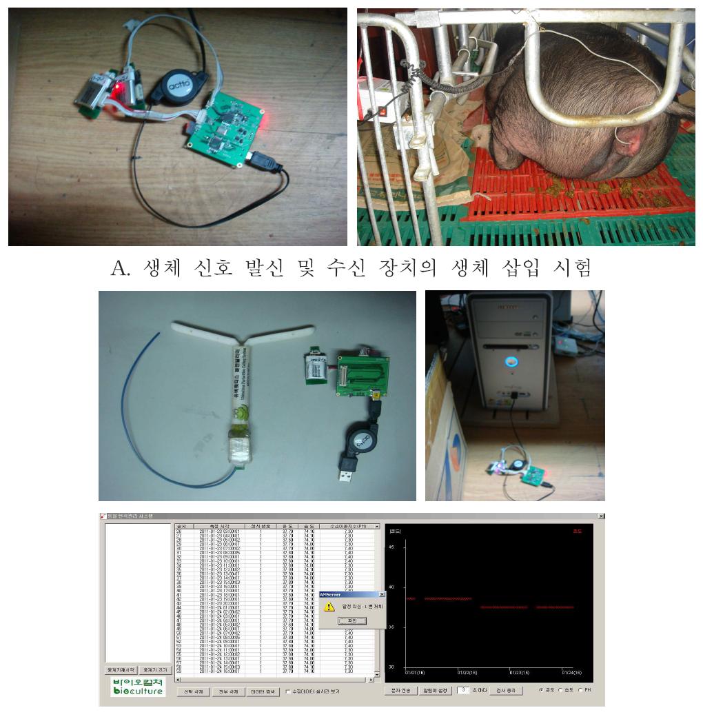 생체 삽입형 온도 센서의 실시간 작동 시험 결과