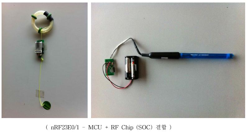 무선 통신을 위한 바이오 온도 및 pH 센서