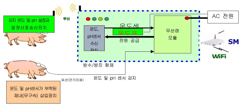 생체 삽입형(무구속) 바이오센서의 돼지 적용 모식도