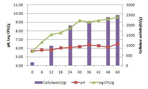 Study of pilot scale solid state fermentation time course in mutant strain p11