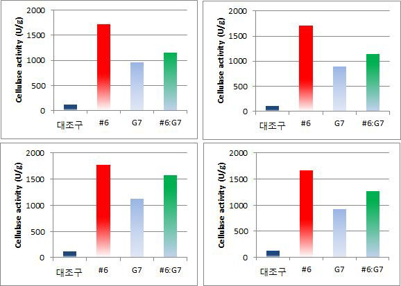 반복, 재현성 검증 단계에서의 각 균주별 효소활성 결과