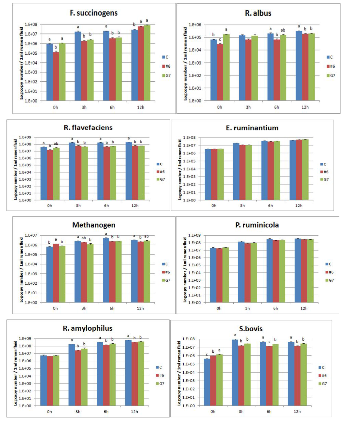 8 rumen microbes enumeration through real time PCR using in vitro rumen sample as DNA template