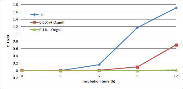 Growth curve of Bacillus #6 with and without 0.05% and 0.1% oxgall