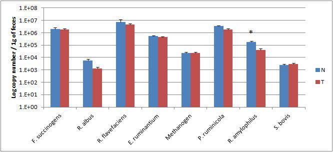 Rumen microbes enumeration through realtime PCR using in vivo rumen sample as DNA template.