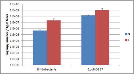 Enumeration of Bifidobacteria and E.coli O157 through real time PCR using in vivo fecal sample as DNA template.