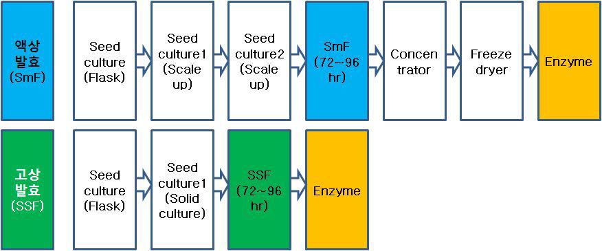 액상발효 및 고상발효 공정도.