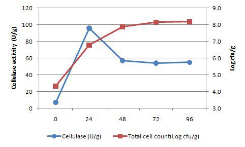 A.niger의 발효시간에 따른 균수 및 cellulase발현량 변화