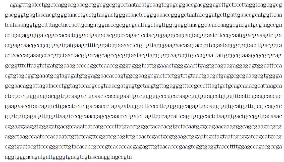 재래 염소로부터 분리한 Bacillus licheniformis의 16S rRNA sequences.