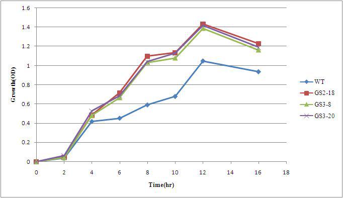 Growth curve of wild type and genome shuffled strains.