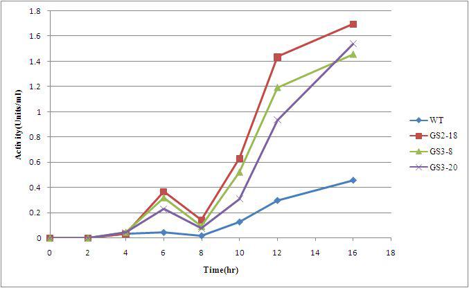 Endoglucanase activities of wild type and genome shuffleds trains in each time period.