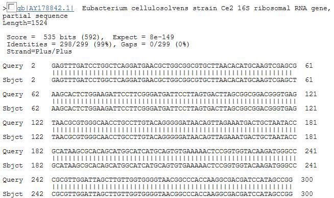 Sequence result of selected bacteria C-TS-1 from Holstein.