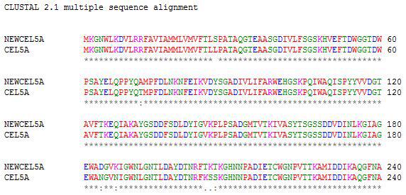 Amino acid sequence alignment with known cel5A.