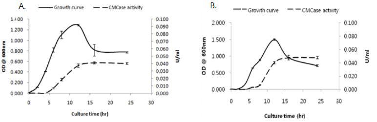 Time course study of CMCase production