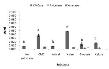 Effects of various carbon sources on enzyme production by Bacillus sp.#6.