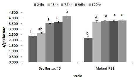 Effects of fermentation time on CMCase production on the mixture of wheat bran and SBM in SSF