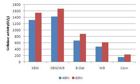 Effect of various C/N ratio on cellulase production by mutant strain p11