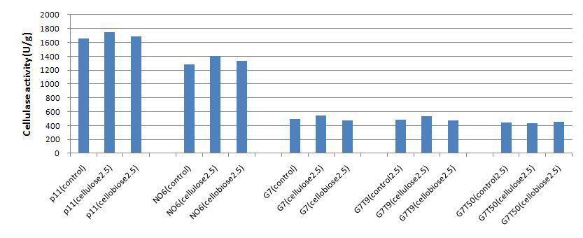 Effect of concentration of purified carbon sources on cellulase production