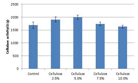 Effect of cellulose concentration on cellulase production by mutant strain p11