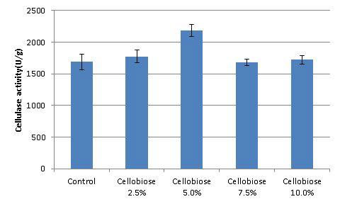 Effect of cellobiose concentration on cellulase production by mutant strain p11