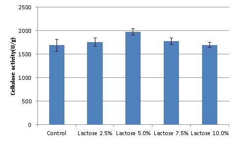 Effect of lactose concentration on cellulase production by mutant strain p11