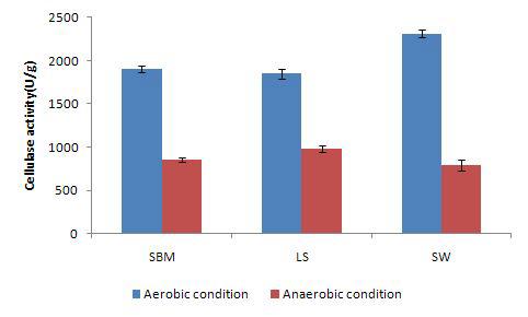 Effect of fermentation condition on the production of cellulase by mutant strain p11