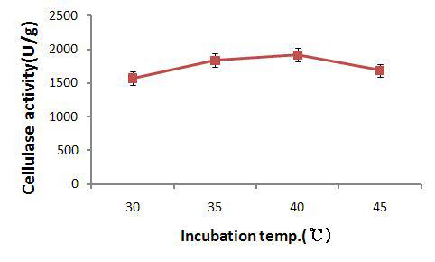 Effect of incubation temperature on the production of cellulase by mutant strain p11