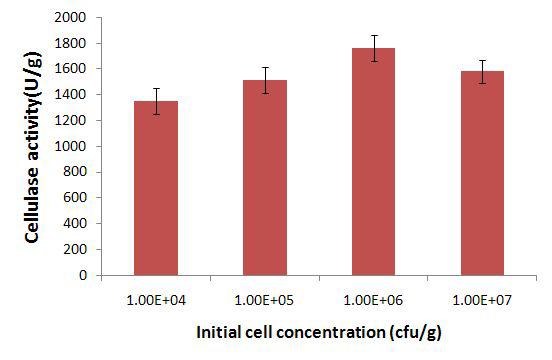 Effect of initial cell concentration on theproduction of cellulase by Bacillus sp. #6