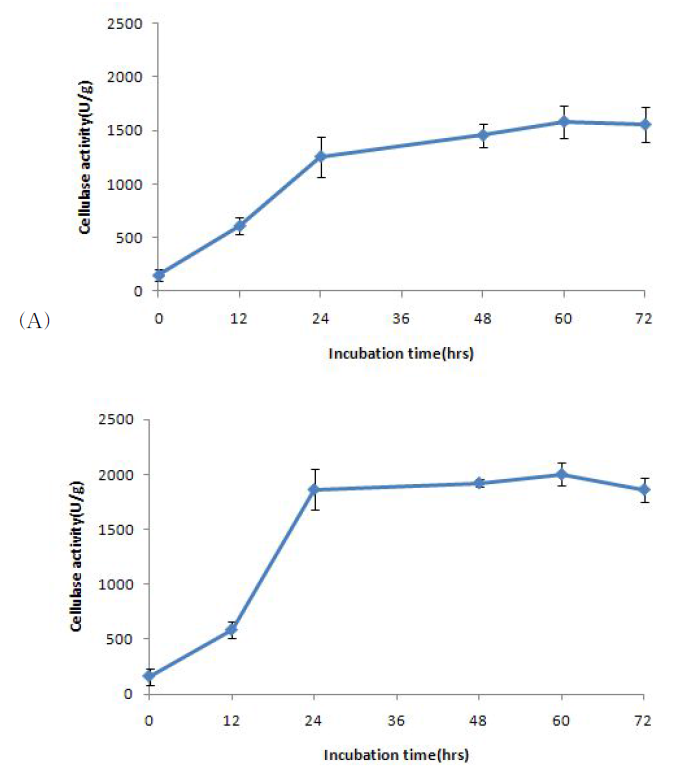 Comparison of solid state fermentation time courses for the production of cellulase by wild type strain #6(A) and mutant strain p11(B)