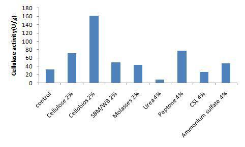 Effects of various carbon and nitrogen sources on cellulase production by #6 in liquid culture.