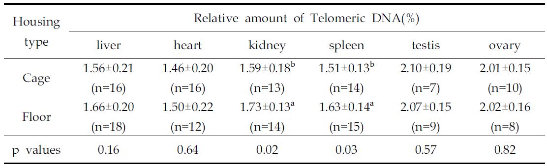 The relative amount of telomeric DNA of tissues at 40 weeks White Leghorns raised on cage and floor types